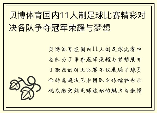 贝博体育国内11人制足球比赛精彩对决各队争夺冠军荣耀与梦想